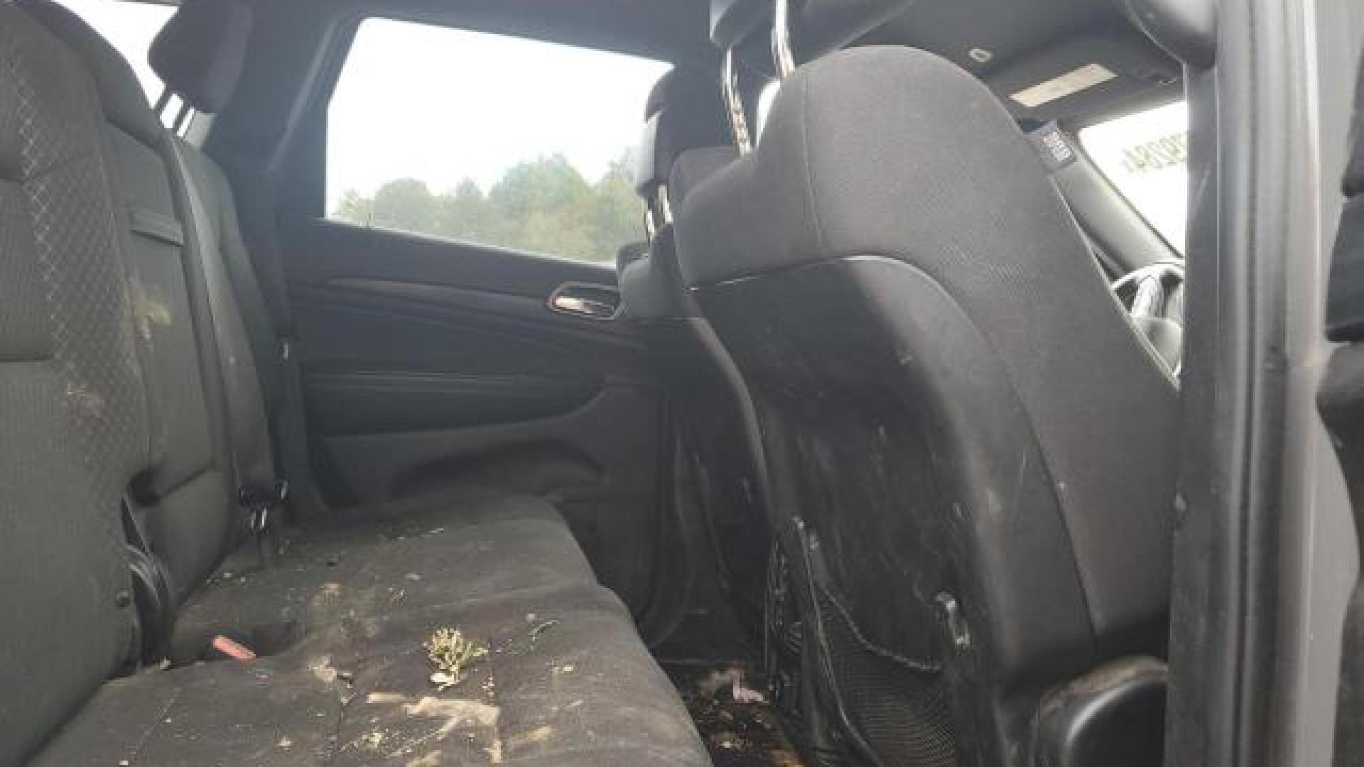 Jeep  - Grand Cherokee - 2019 - Nardo Grey - 73379284