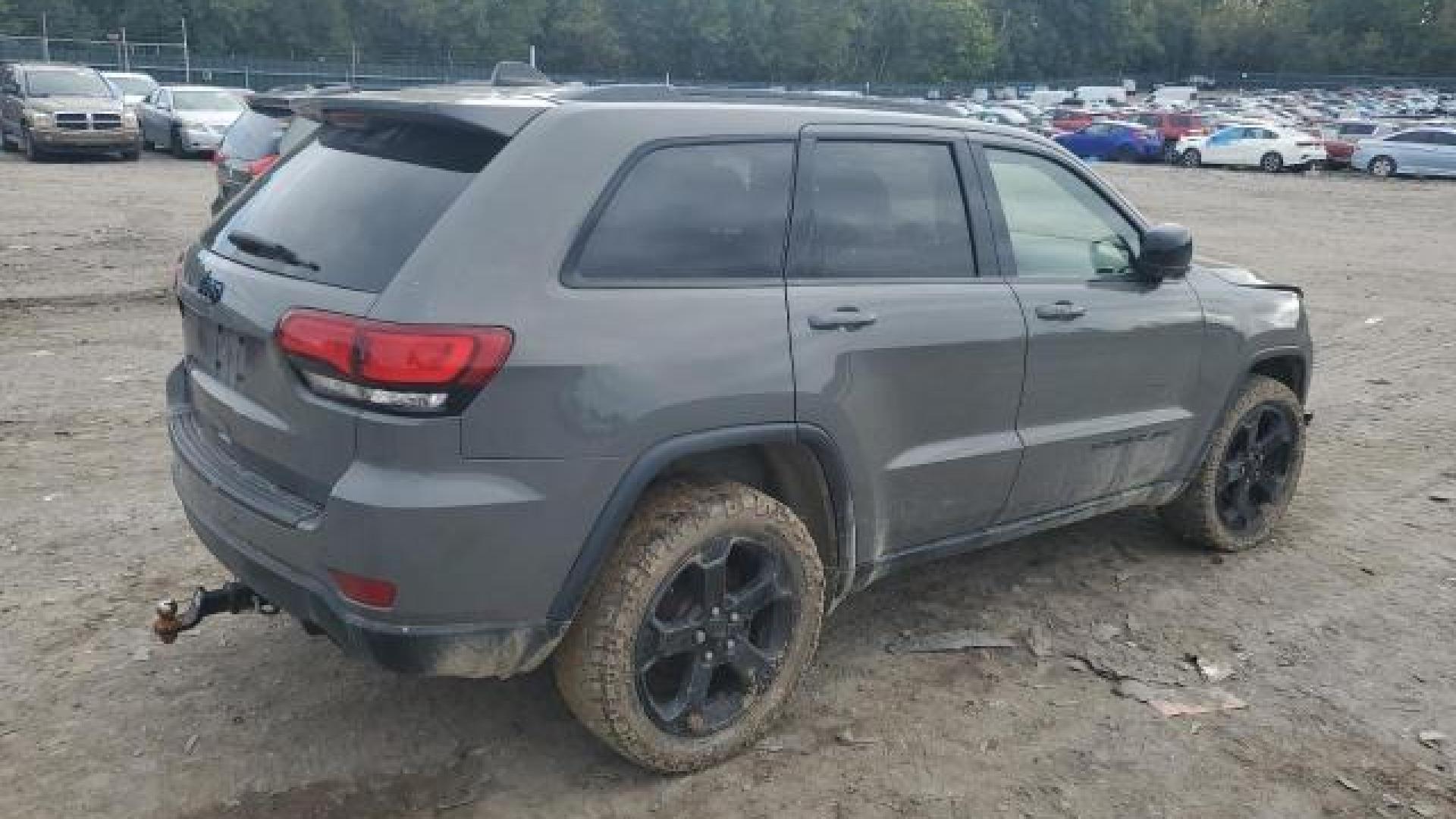 Jeep  - Grand Cherokee - 2019 - Nardo Grey - 73379284