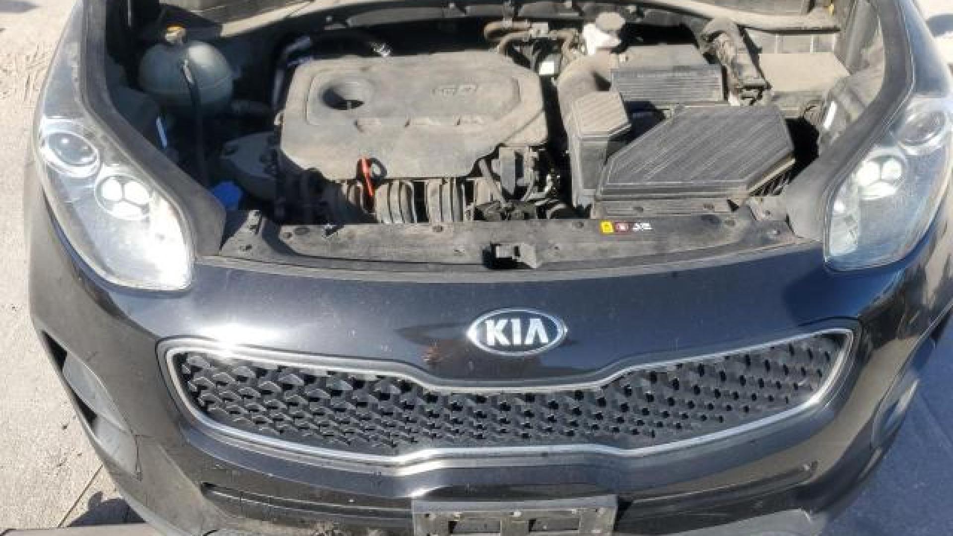 Kia - Sportage - 2019 - Black - 80269404