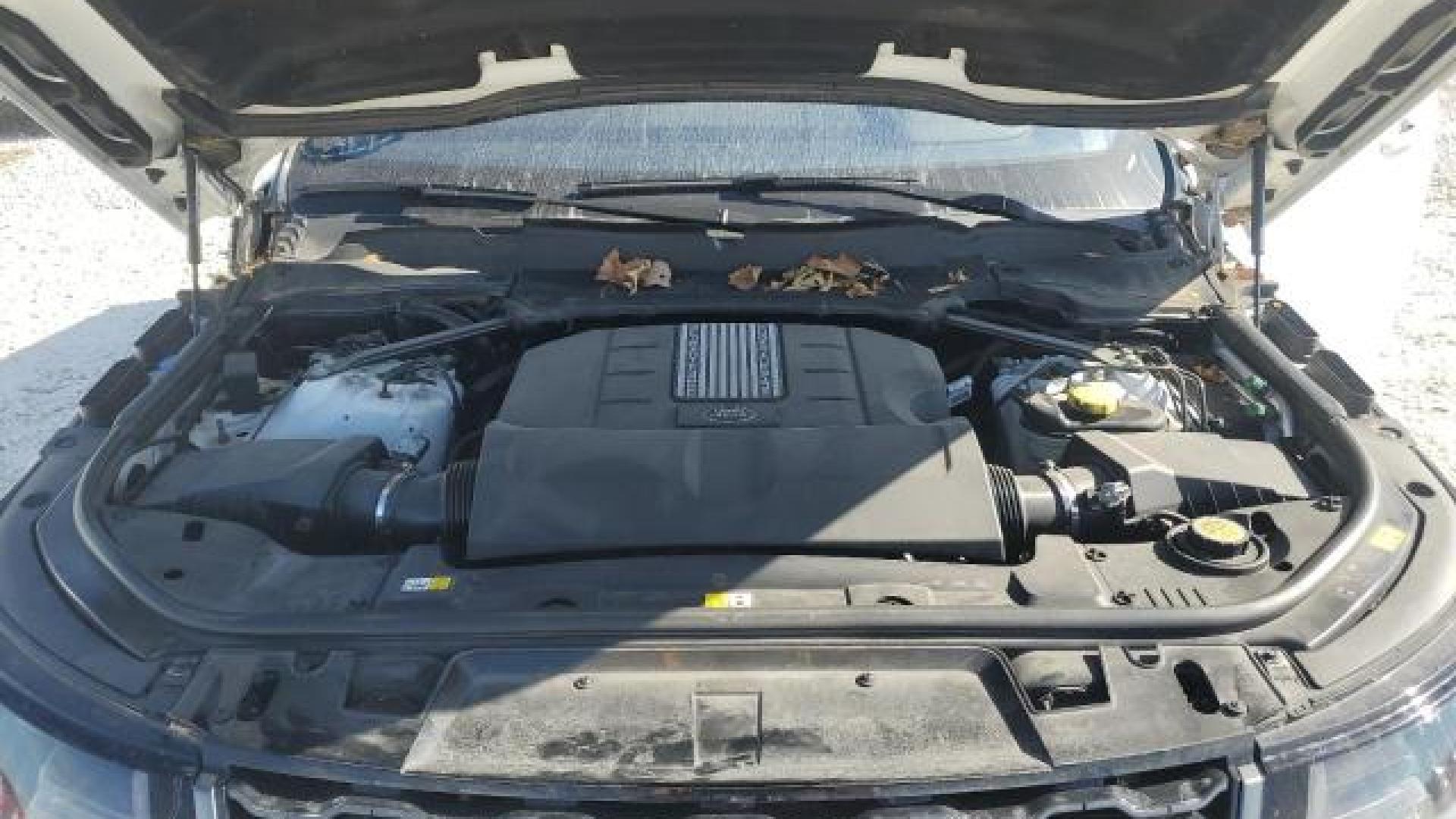 Range Rover - Sport - 2018 - White - 81184804