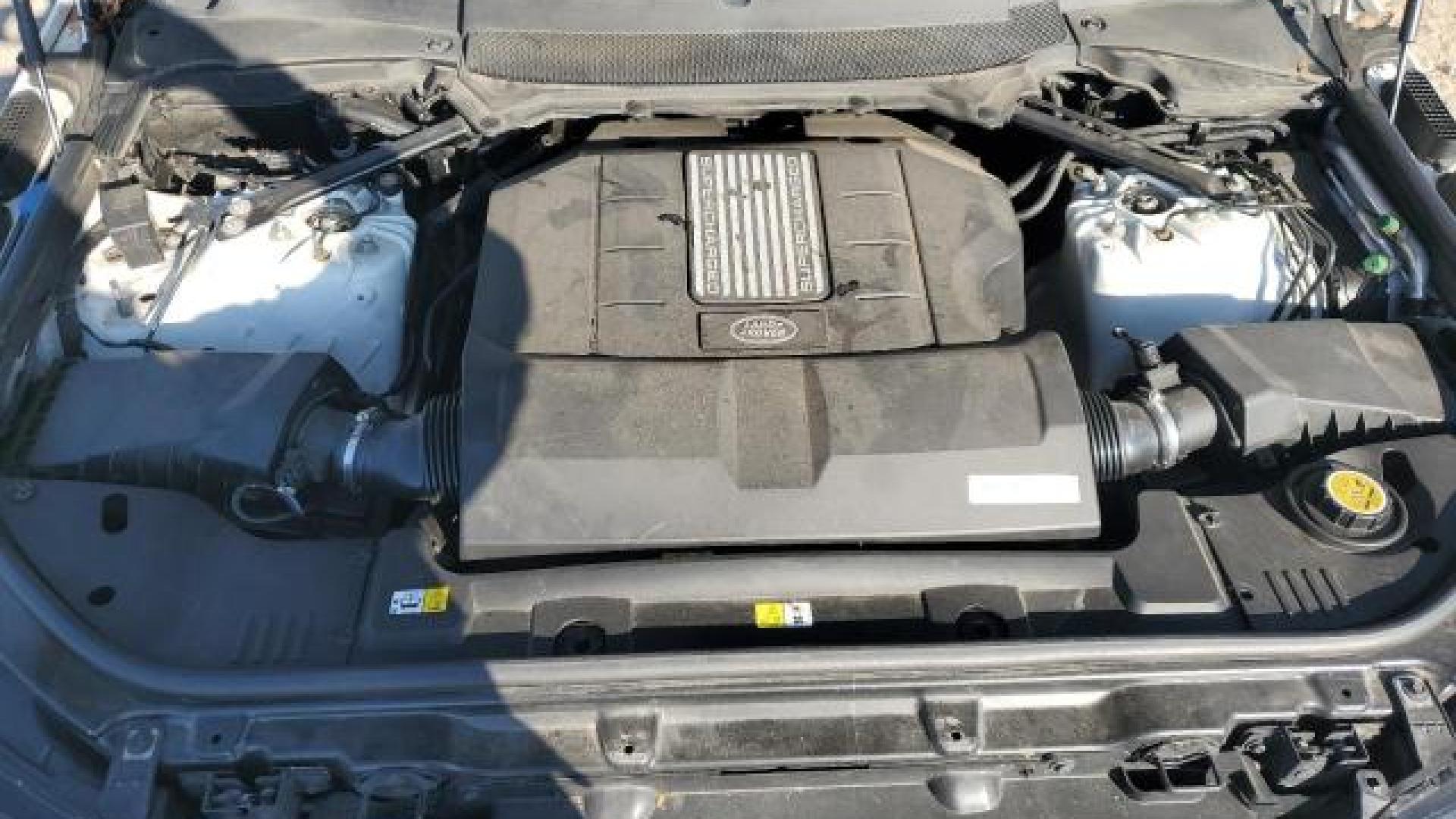 Range Rover - Sport - 2018 - White - 82288504