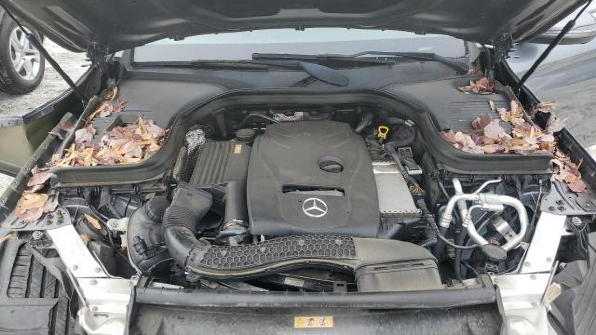 Mercedes - Glc300 - 2017 - Grey - 85485524