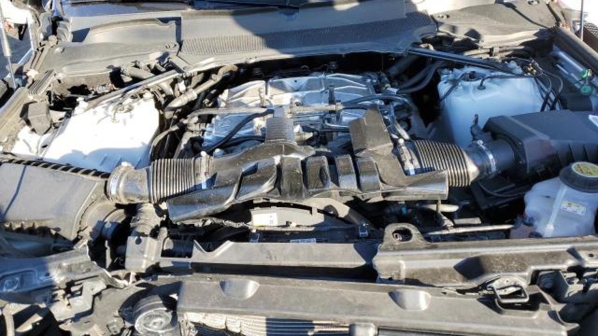 Range Rover - Sport - 2018 - White - 85554924