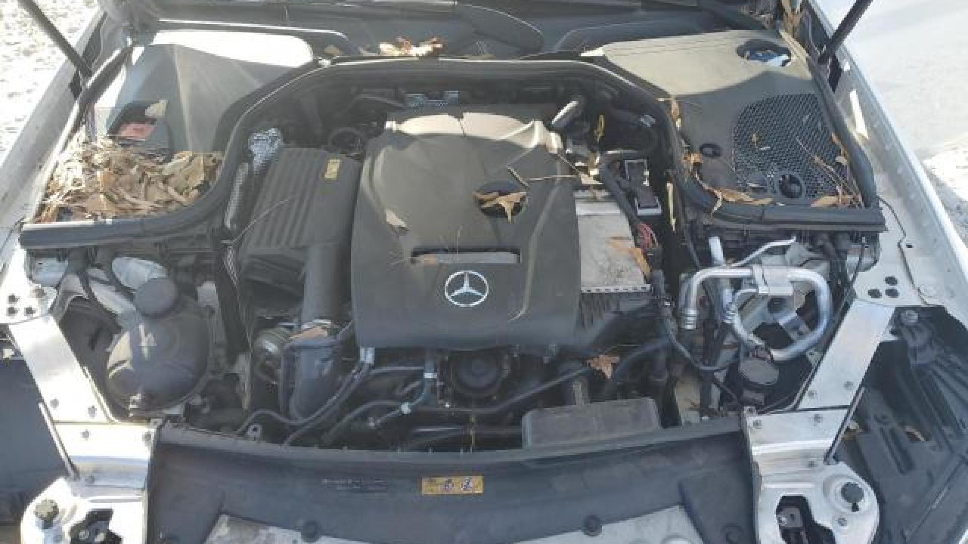 Mercedes - E300 - 2017 - White - 86614734