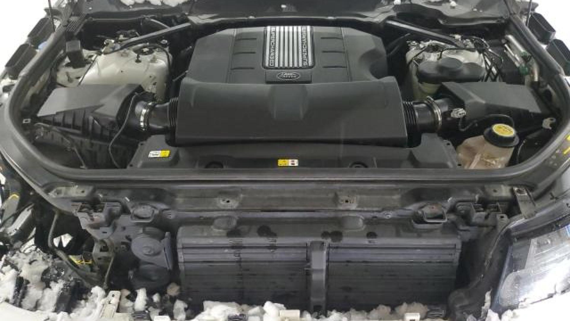 Range Rover - Sport - 2018 - White - 87431414