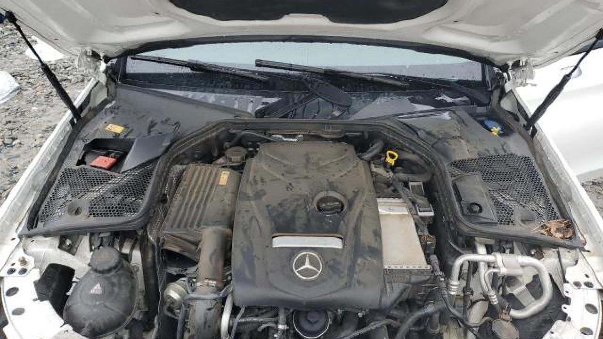 Mercedes - C300 - 2017 - White - 87703945